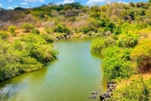 Desmatamento ilegal no Piauí registra queda de 67,9% no primeiro semestre de 2025 Desmatamento ilegal no Piauí registra queda de 67,9% no primeiro semestre de 2025